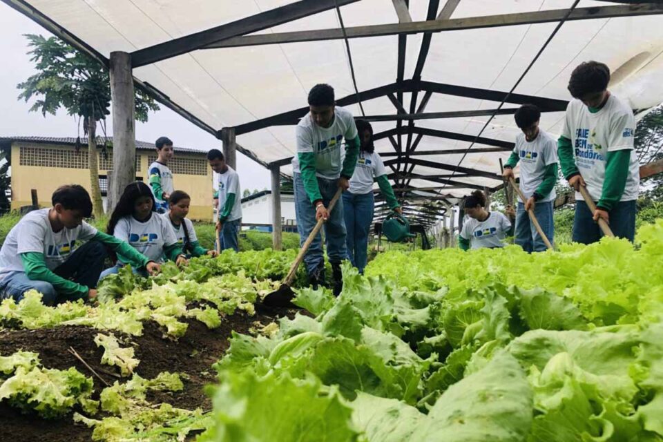 <div style="
                font-size: 18px;
                font-weight: bold;
                color: #0073aa;
                margin-bottom: 5px;
                text-transform: uppercase;
            ">EDUCAÇÃO RURAL</div>Rondônia amplia investimentos em cursos técnicos do agro durante a Rondônia Rural Show Internacional