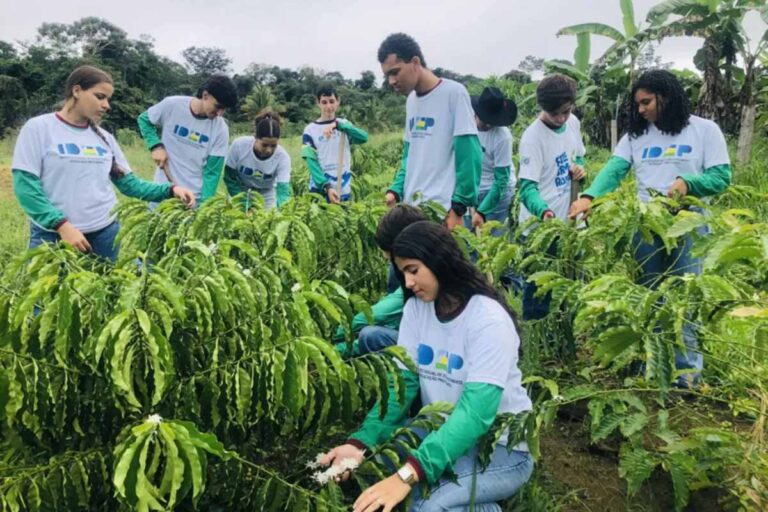 Ensino técnico em Rondônia impulsiona agricultura familiar e prepara jovens para atuação no campo