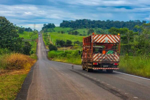 DER avança em sinalização da RO-135 e conclui 17 quilômetros entre Alta Floresta d’Oeste e Vila Marcão