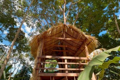 Rondônia Rural Show destaca agricultura indígena, etnoturismo e geração de renda nas aldeias