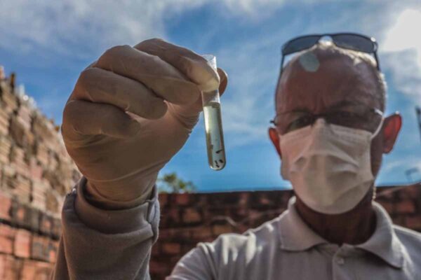 Prefeitura mantém Porto Velho sem mortes por dengue em 2026 e reforça ações contra o Aedes aegypti