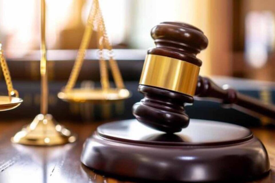 <div style="
                font-size: 18px;
                font-weight: bold;
                color: #0073aa;
                margin-bottom: 5px;
                text-transform: uppercase;
            ">DECISÃO JUDICIAL</div>Justiça de Rondônia mantém negativa de herança após falta de comprovação de paternidade afetiva