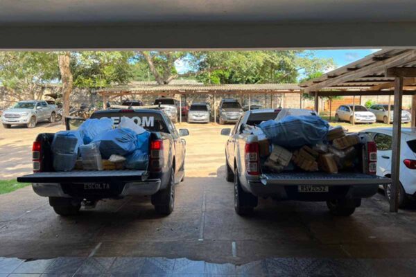 Polícia Federal destrói cerca de 900 kg de drogas apreendidas em Guajará-Mirim