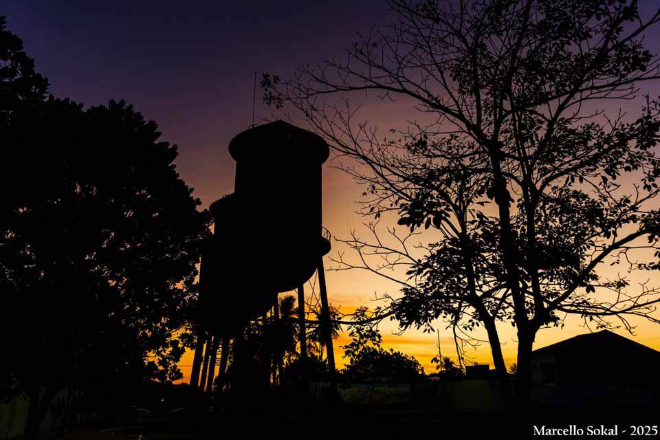 Paisagem amazônica compõe a narrativa visual da mostra em Porto Velho