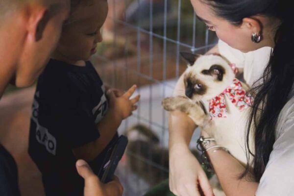 Empreende Pet terá feira, adoção responsável e atrações culturais em Porto Velho