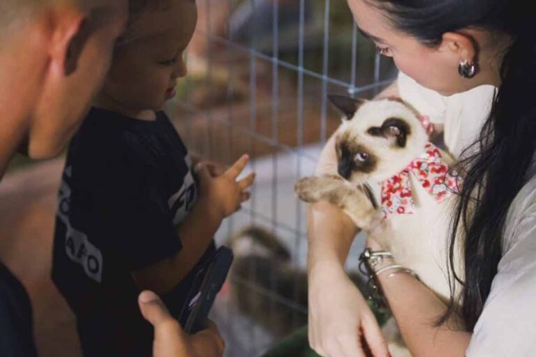 Empreende Pet terá feira, adoção responsável e atrações culturais em Porto Velho