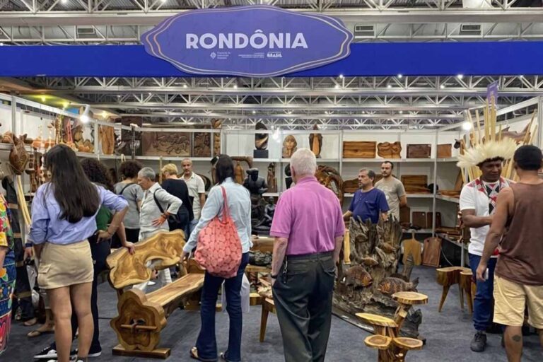 Artesãos de Rondônia são selecionados para representar o estado na Fenearte 2026