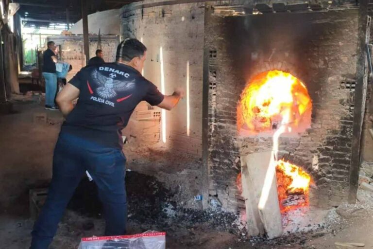Polícia Civil incinera 321 quilos de drogas durante Semana de Políticas Públicas sobre Drogas em Rondônia