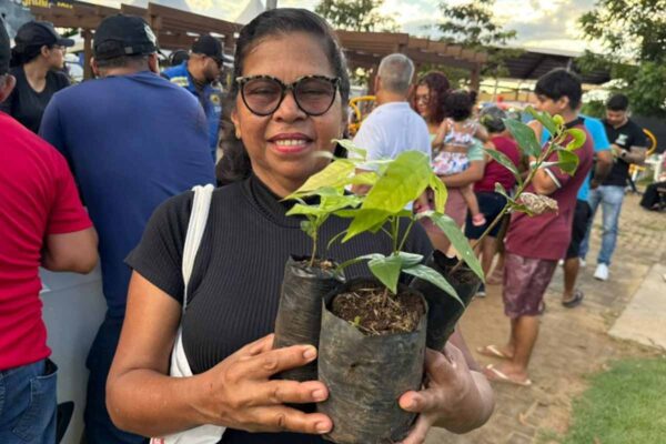 Semana do Meio Ambiente em Porto Velho terá oficinas, educação ambiental e distribuição de mudas