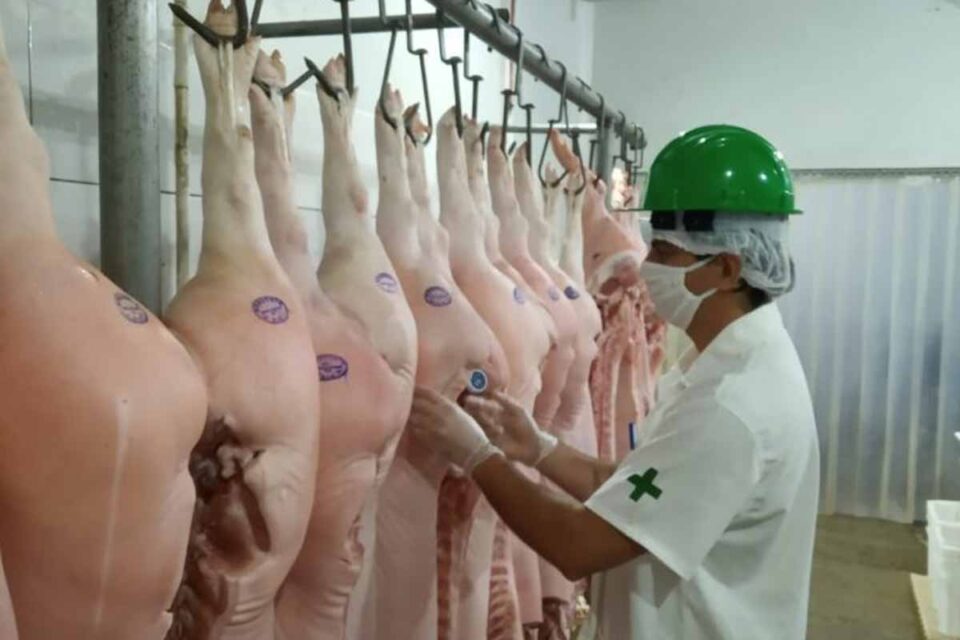 <div style="
                font-size: 18px;
                font-weight: bold;
                color: #0073aa;
                margin-bottom: 5px;
                text-transform: uppercase;
            ">SEGURANÇA ALIMENTAR</div>Idaron regulamenta credenciamento de empresas privadas para inspeção sanitária em frigoríficos de Rondônia
