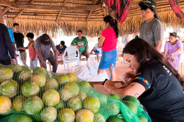 Programa de Aquisição de Alimentos PAA beneficia produtores indígenas em Rondônia