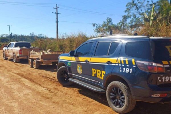 PRF apreende quase 2,5 toneladas de cassiterita transportadas ilegalmente em Ariquemes