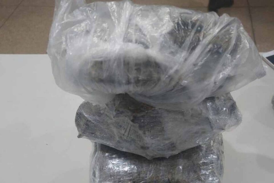 <div style="
                font-size: 18px;
                font-weight: bold;
                color: #0073aa;
                margin-bottom: 5px;
                text-transform: uppercase;
            ">APREENSãO DE DROGAS</div>Apreensão de drogas em Vilhena: PMRO recolhe quase 2 kg de entorpecentes após perseguição