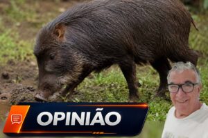 Comerciante ganha catetos e perde o sossego
