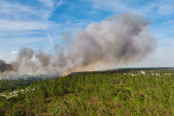 TCE-RO incentiva municípios de Rondônia a reforçarem preparação para desastres em workshop da Defesa Civil