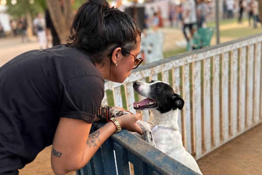 Feira oferece adoção de cães e gatos e castração gratuita em Porto Velho