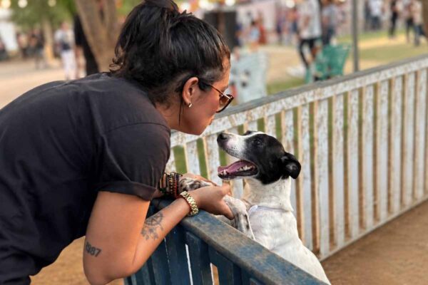 Feira oferece adoção de cães e gatos e castração gratuita em Porto Velho