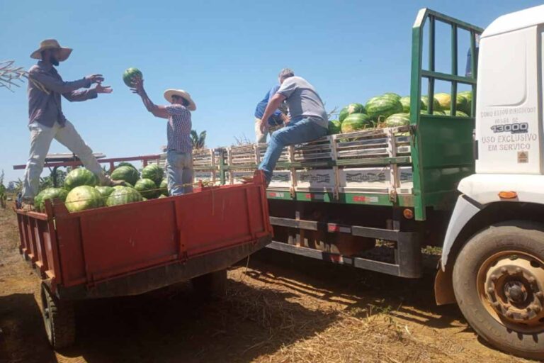 Agrotec 2026 vai destacar liderança de Porto Velho na produção agropecuária de Rondônia