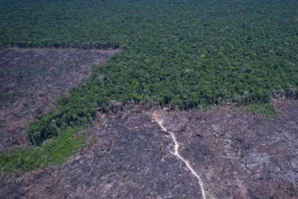 Tarifa dos EUA contra o Brasil usa argumento ambiental sem fundamento, diz pesquisador