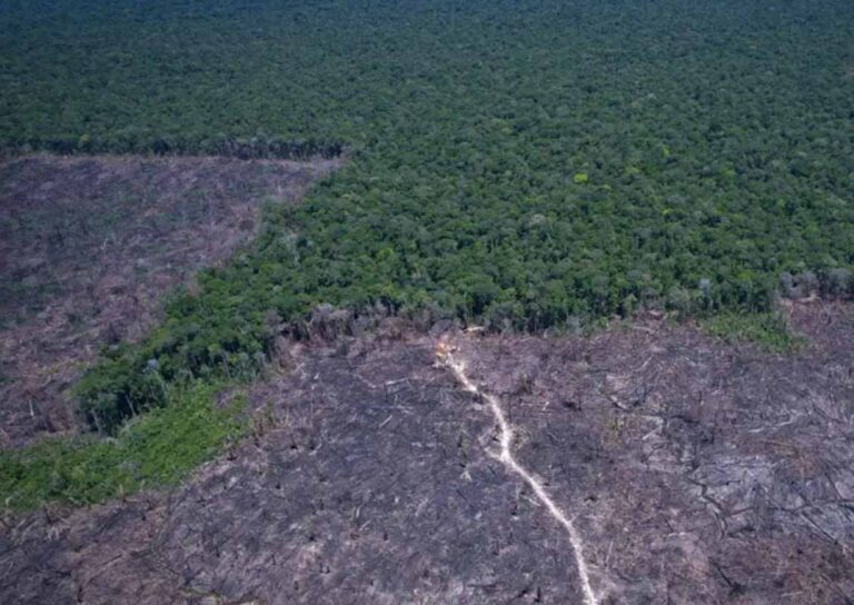 Tarifa dos EUA contra o Brasil usa argumento ambiental sem fundamento, diz pesquisador