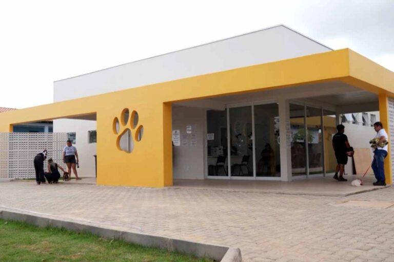Clínica do Bem-Estar Animal registra 6,6 mil atendimentos e mais de 250 adoções em Porto Velho