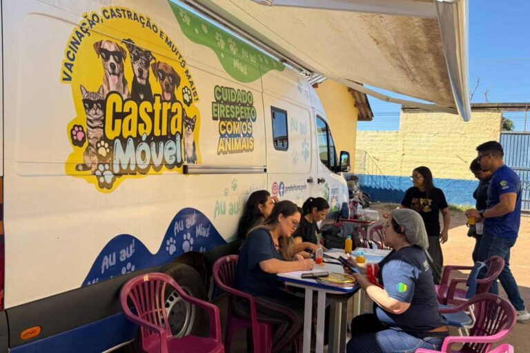 Castração gratuita de cães e gatos cadastra 44 animais durante ação social em Porto Velho