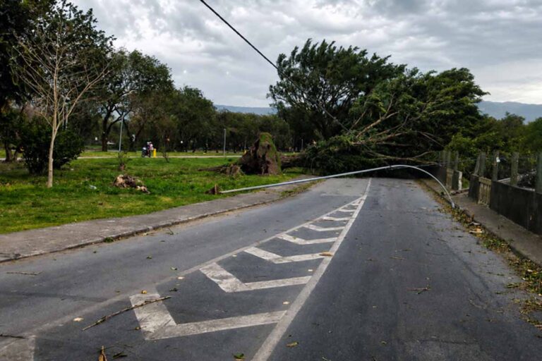 Ventania deixa três mortos e provoca danos em várias regiões de São Paulo