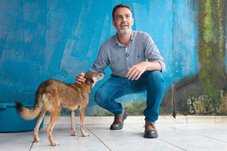 Porto Velho registra mais de 2 mil atendimentos de proteção animal no primeiro semestre