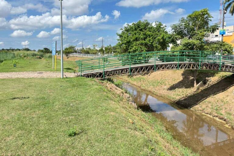 Prefeitura de Porto Velho reforça limpeza urbana e recolhe resíduos em praças e espaços públicos