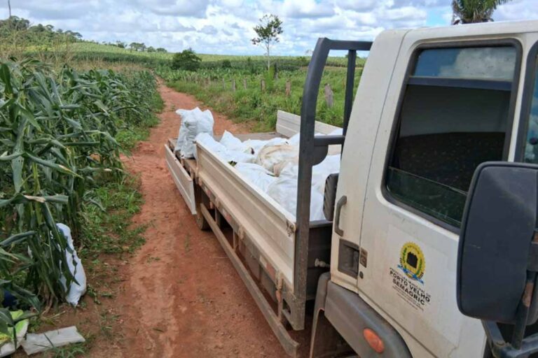 Transporte rural gratuito movimenta 587 toneladas e atende 145 produtores em Porto Velho