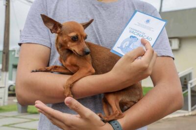 Jaci-Paraná recebeu vacinação antirrábica gratuita para cães e gatos