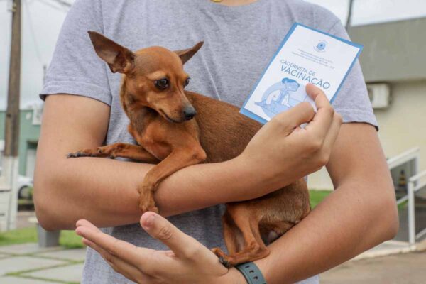 Jaci-Paraná recebeu vacinação antirrábica gratuita para cães e gatos