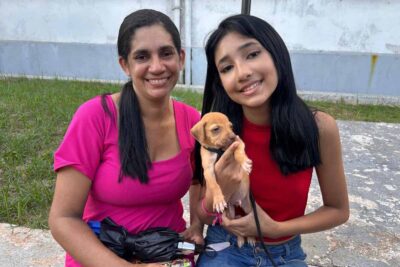 Feira garante lares a animais