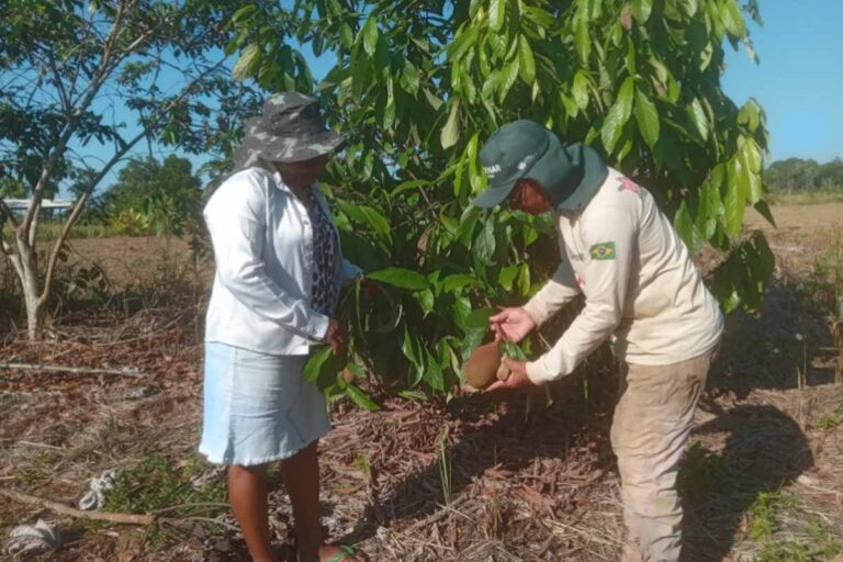 Pais agricultores de Porto Velho transformam trabalho no campo em legado para os filhos