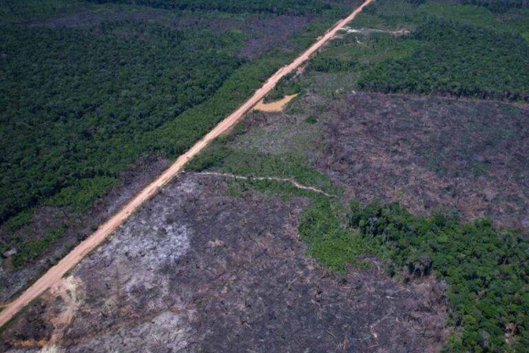 Desmatamento na Amazônia recua 36,87% e atinge menor nível da série do Deter