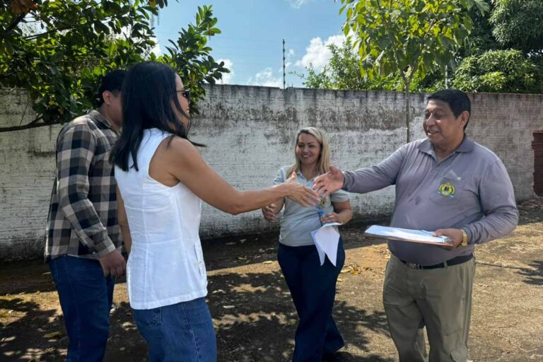 Ovitrampas são instaladas em 27 bairros de Porto Velho para mapear presença do Aedes aegypti