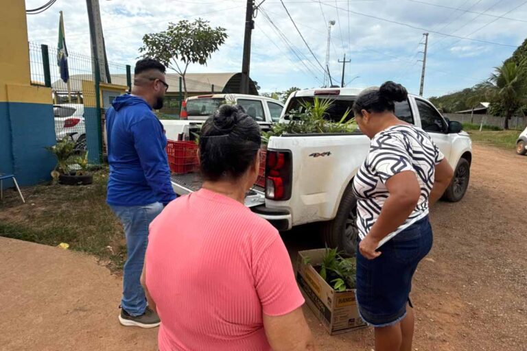 Educação ambiental leva 500 mudas e orientações contra queimadas a Vila da Penha e Abunã