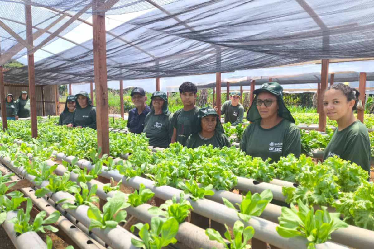 Curso de hidroponia capacita famílias do assentamento Nova Conquista em Porto Velho