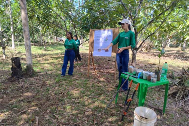 Agricultores conhecem sistemas sustentáveis durante intercâmbio em Nova Califórnia