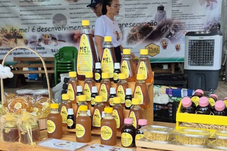 Sabores da Colmeia leva produtos de abelhas amazônicas à Agrotec 2026 em Porto Velho