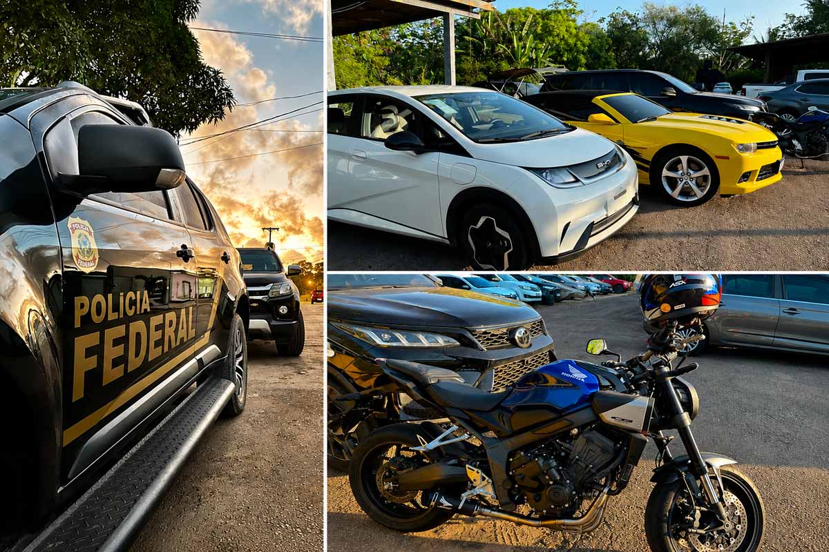 Operação Ouroboros mira esquema de fraudes eletrônicas e bloqueia até R$ 30 milhões em Porto Velho