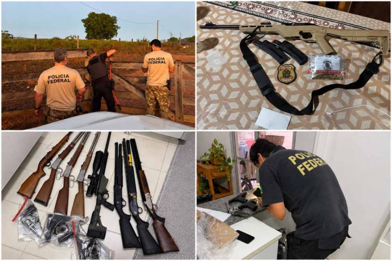 PF bloqueia R$ 11,3 milhões e cumpre 22 mandados em operação contra crimes ambientais