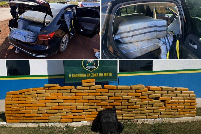 PF apreende cerca de 400 kg de drogas e prende suspeito em Rolim de Moura