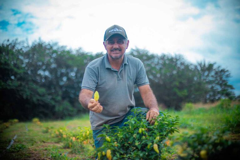 Aplicativo PVH+ passa a oferecer Cadastro Municipal do Produtor Rural em Porto Velho