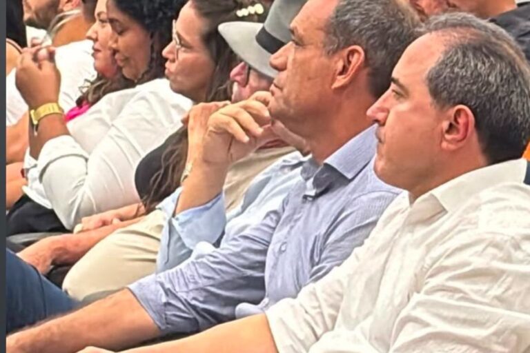 Natan Donadon defende viaduto na BR-364 durante audiência pública em Vilhena