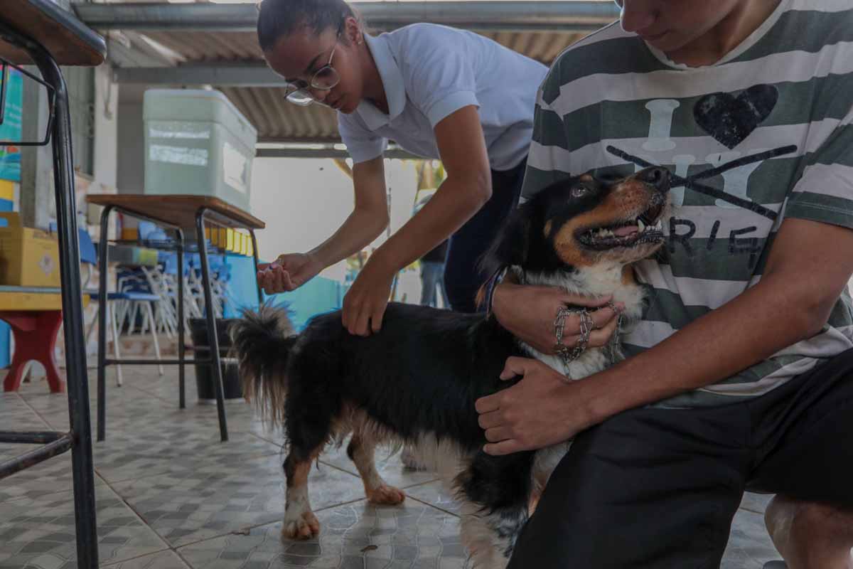 Vacinação antirrábica imuniza mais de 30 mil cães e gatos em Porto Velho