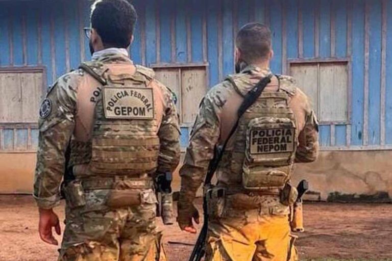 PF cumpre sete mandados em operação contra extração ilegal de madeira em terra indígena de Rondônia