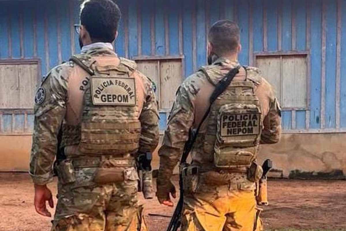 PF cumpre sete mandados em operação contra extração ilegal de madeira em terra indígena de Rondônia