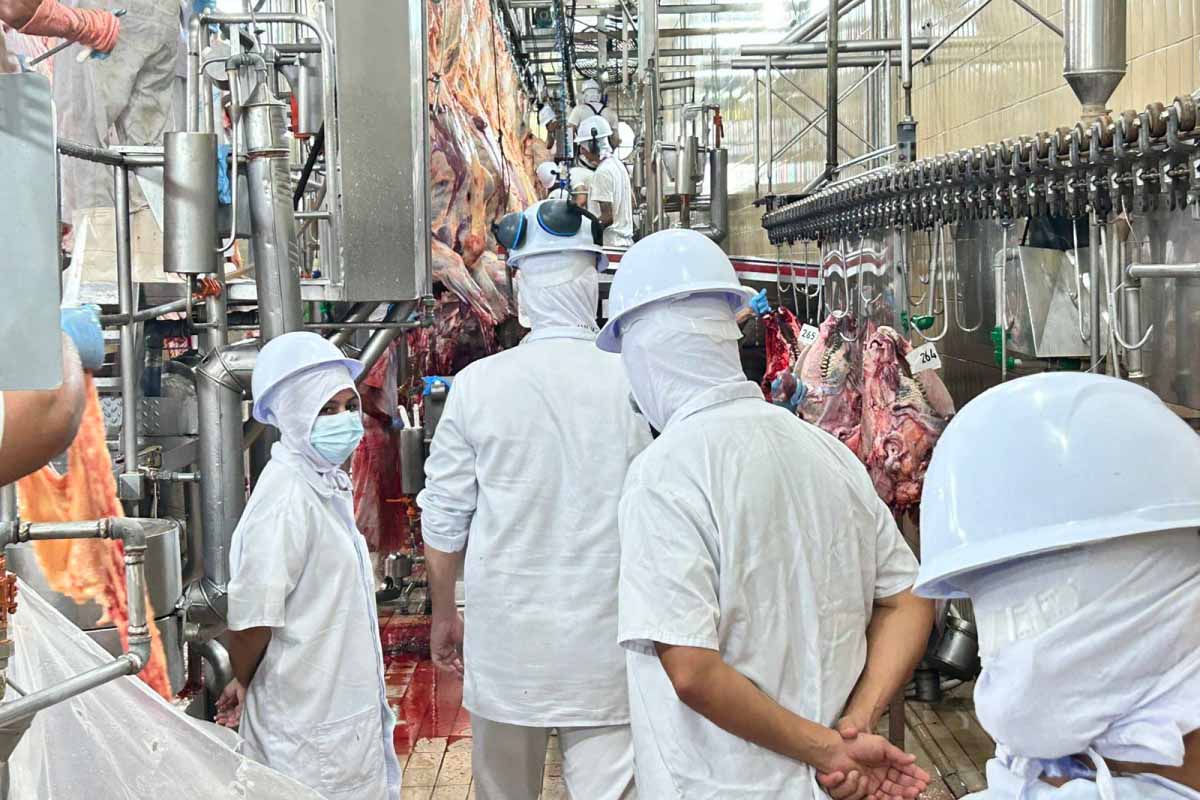 Veterinários do SIM fiscalizam 36 estabelecimentos e reforçam segurança alimentar em Porto Velho