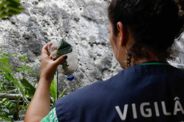 São Paulo registra 42 mortes por dengue e mais de 58 mil casos em 2026